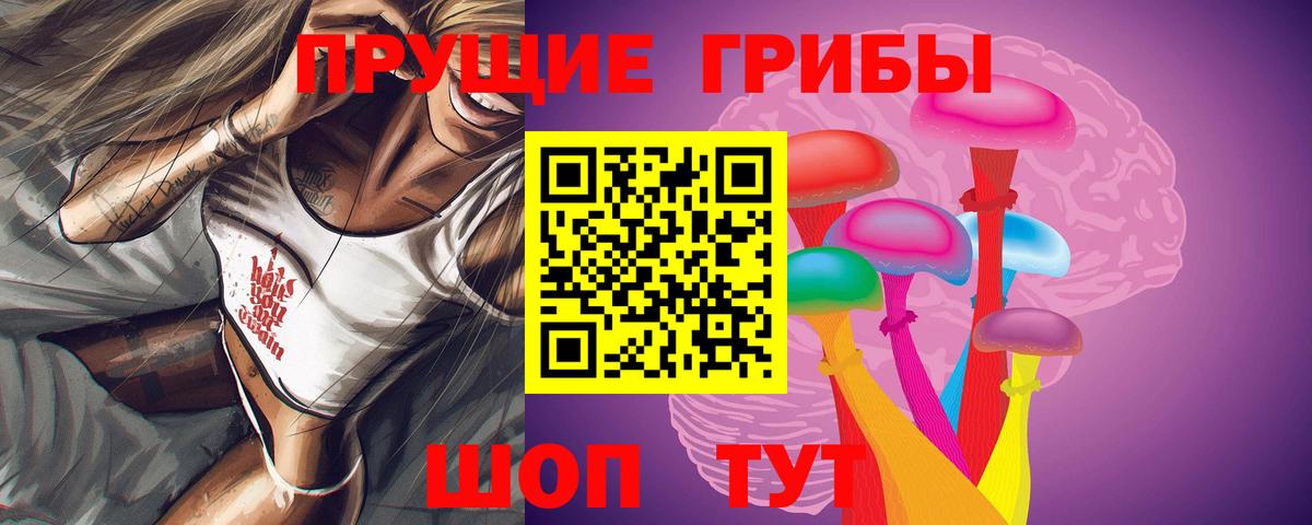 Моздок  Псилоцибиновые грибы Psilocybine cubensis  Вход с VPN 